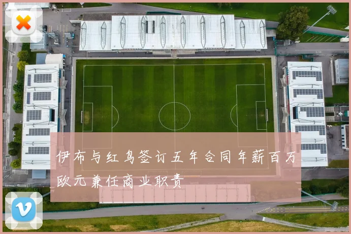 伊布与红鸟签订五年合同年薪百万欧元兼任商业职责