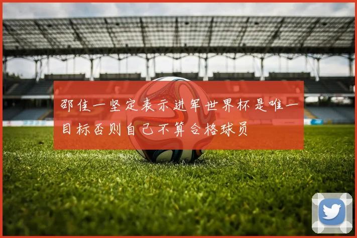 邵佳一坚定表示进军世界杯是唯一目标否则自己不算合格球员