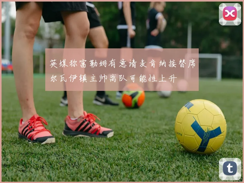 英媒称富勒姆有意请麦肯纳接替席尔瓦伊镇主帅离队可能性上升